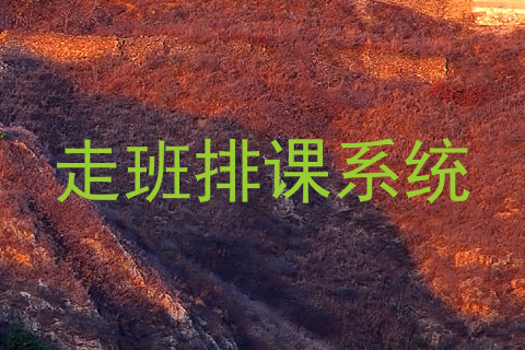 走班排课系统