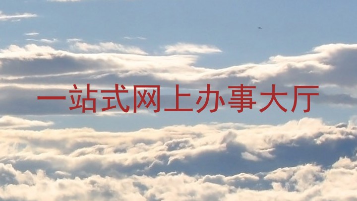 一站式网上办事大厅