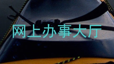网上办事大厅
