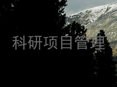 科研项目管理
