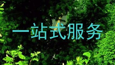 一站式服务