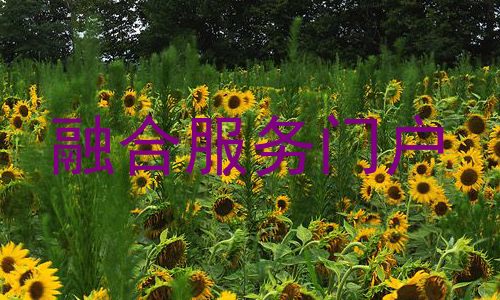 融合服务门户