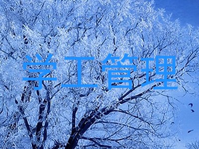 学工管理