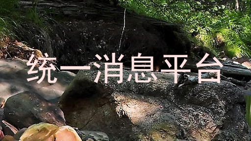 统一消息平台