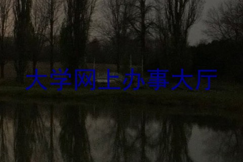 大学网上办事大厅