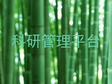 科研管理平台