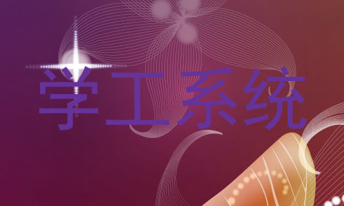 学工系统