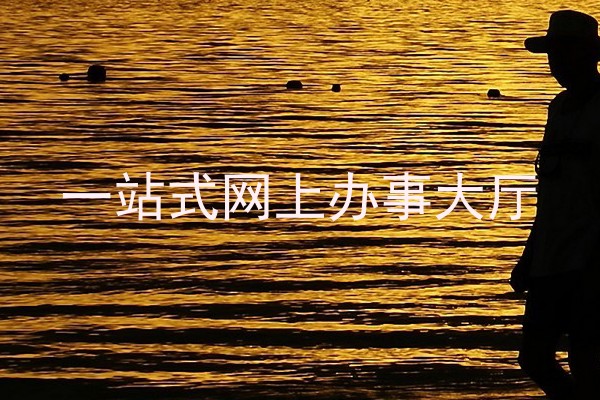 一站式网上办事大厅