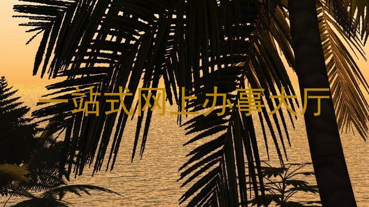 一站式网上办事大厅