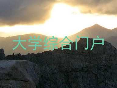 大学综合门户