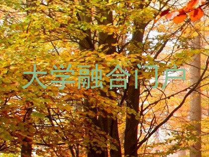大学融合门户