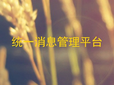 统一消息管理平台