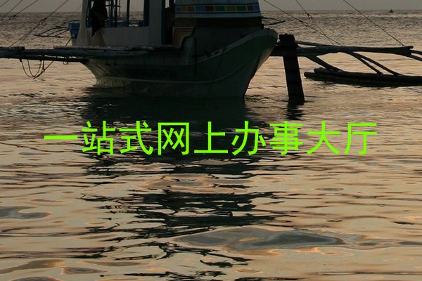 一站式网上办事大厅