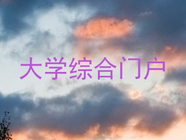 大学综合门户