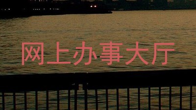 网上办事大厅