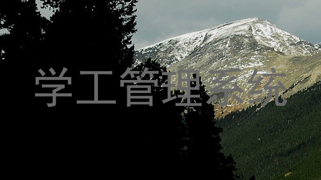 学工管理系统