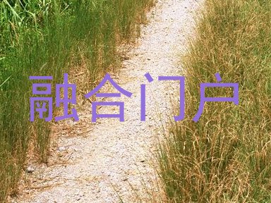 融合门户