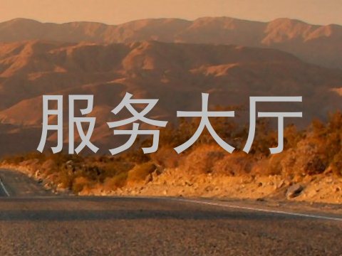 服务大厅