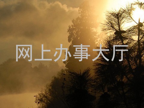 网上办事大厅