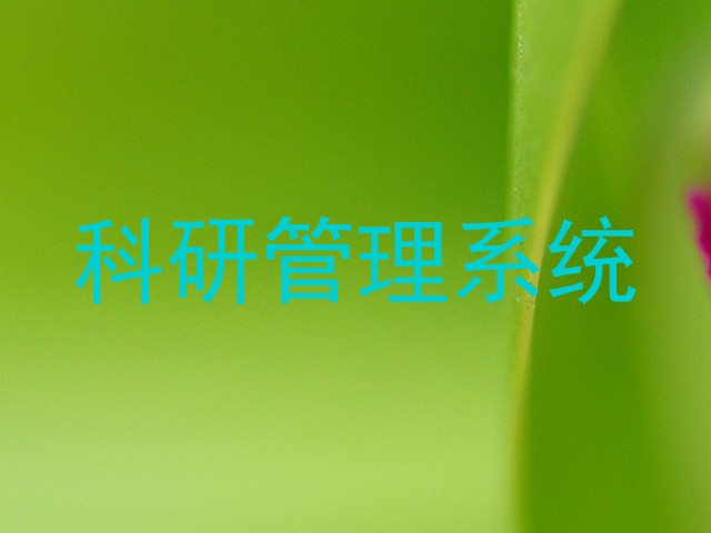 科研管理系统