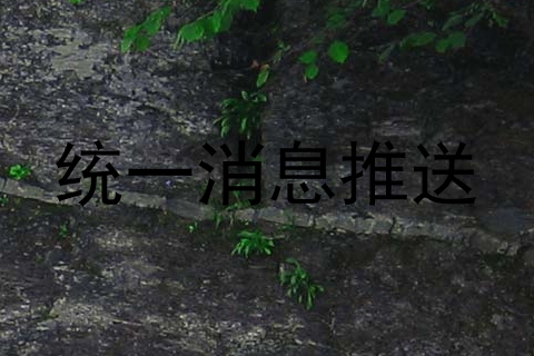 统一消息推送