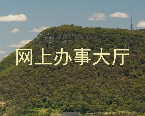 网上办事大厅