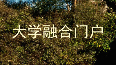 大学融合门户