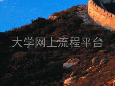 大学网上流程平台