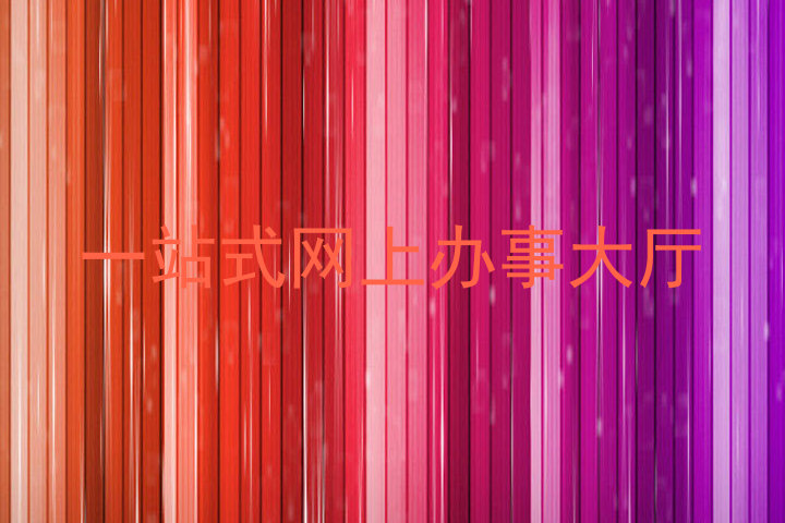 一站式网上办事大厅