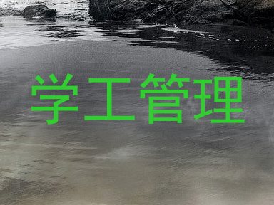 学工管理