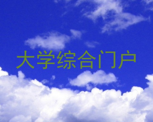 大学综合门户