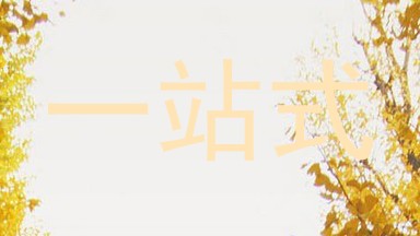 一站式