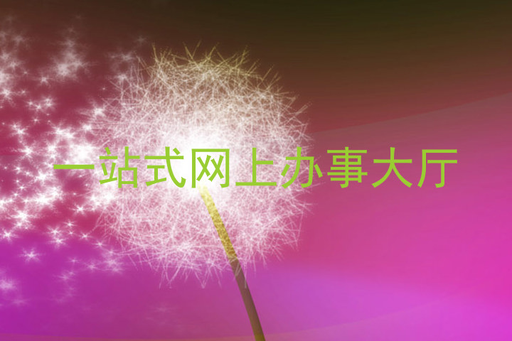 一站式网上办事大厅