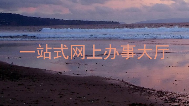 一站式网上办事大厅