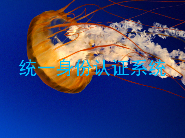 统一身份认证系统
