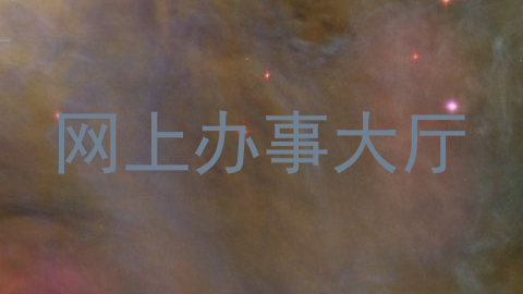 网上办事大厅