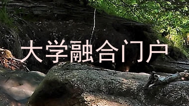 大学融合门户