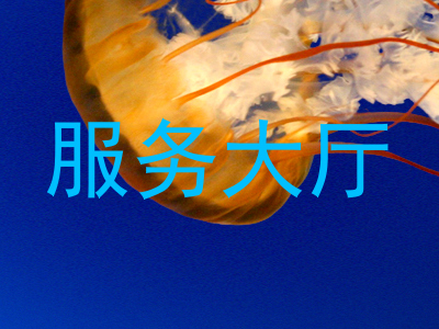 服务大厅