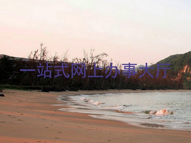 一站式网上办事大厅