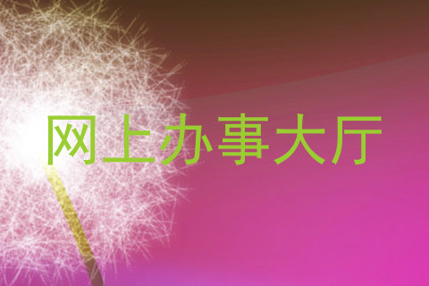 网上办事大厅