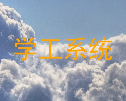学工系统