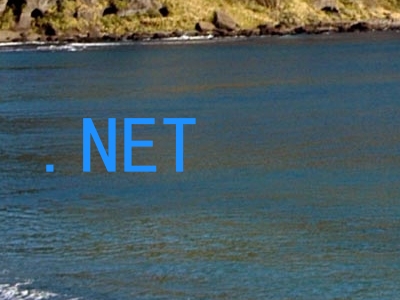 .NET