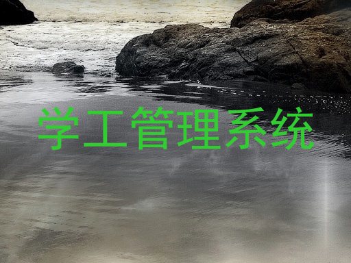 学工管理系统