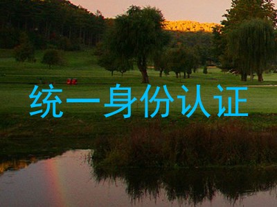 统一身份认证
