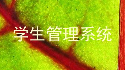 学生管理系统
