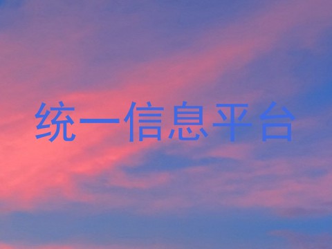 统一信息平台