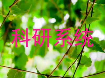 科研系统
