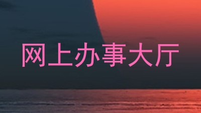 网上办事大厅