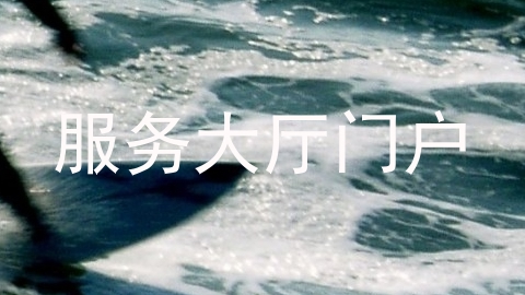 服务大厅门户