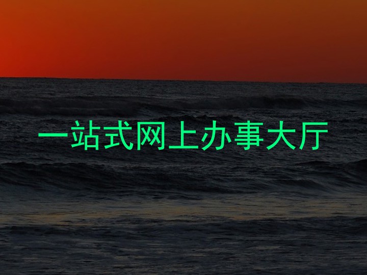 一站式网上办事大厅
